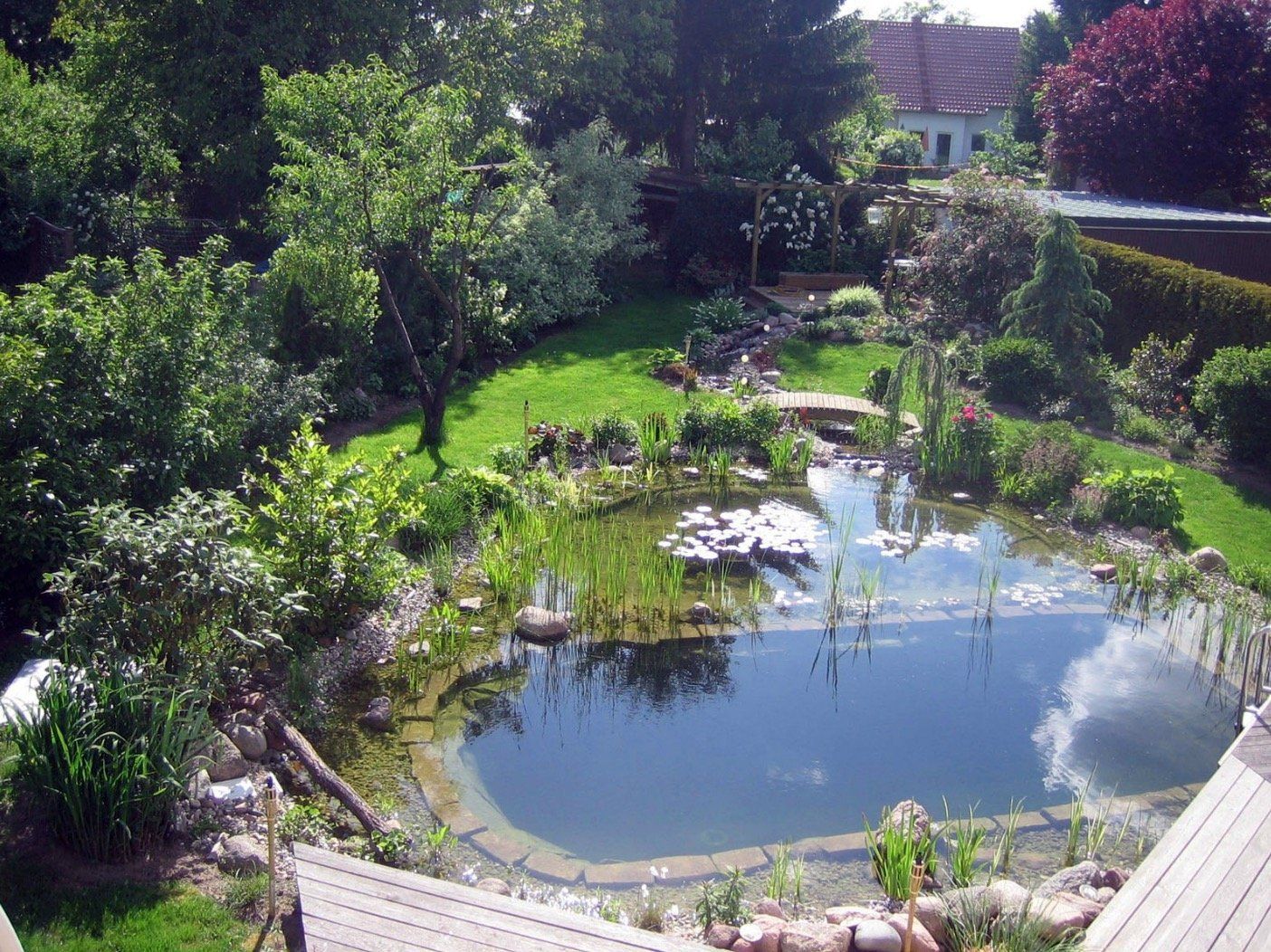 A large pond in the middle of a lush green garden