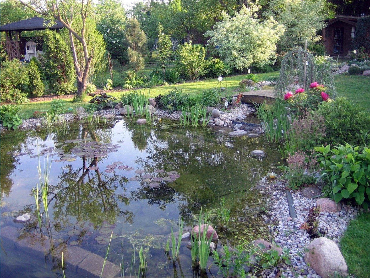 A pond in a garden with a house in the background