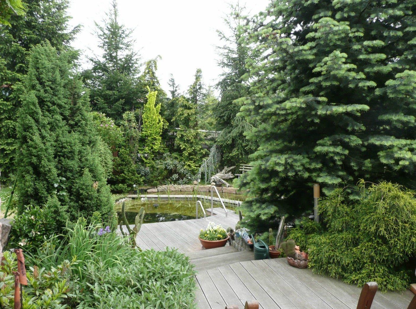 A wooden deck surrounded by trees and a pond
