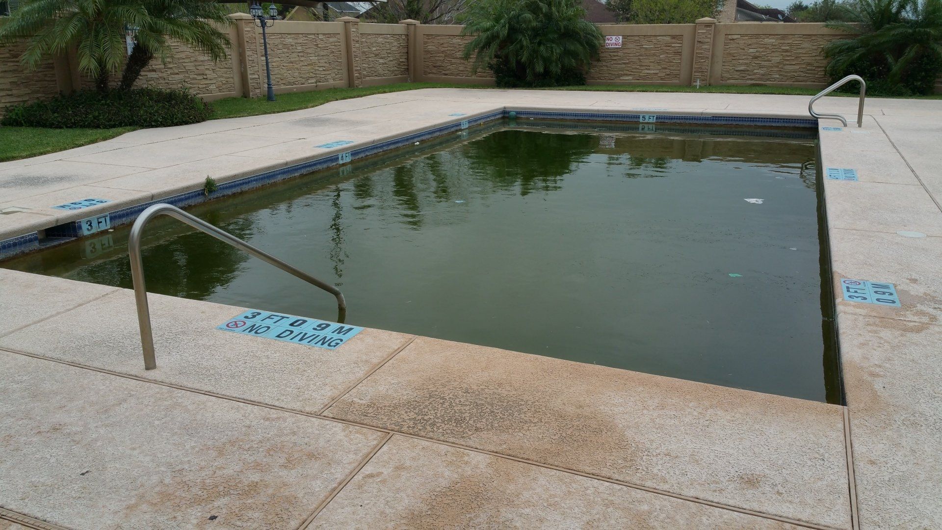 Rectangular outdoor swimming pool with murky green water, surrounded by a concrete deck and fence.