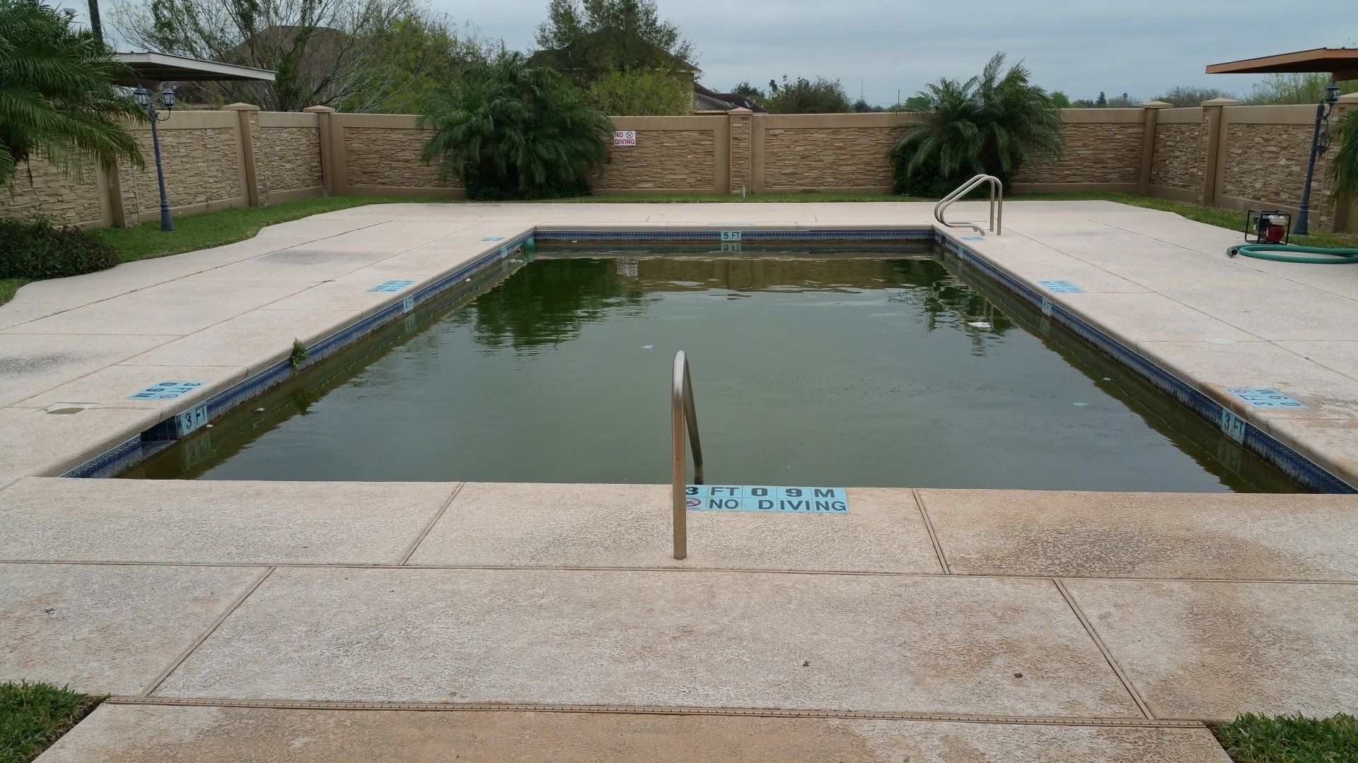 Empty rectangular pool with green water, stone deck, and brick walls in a backyard garden