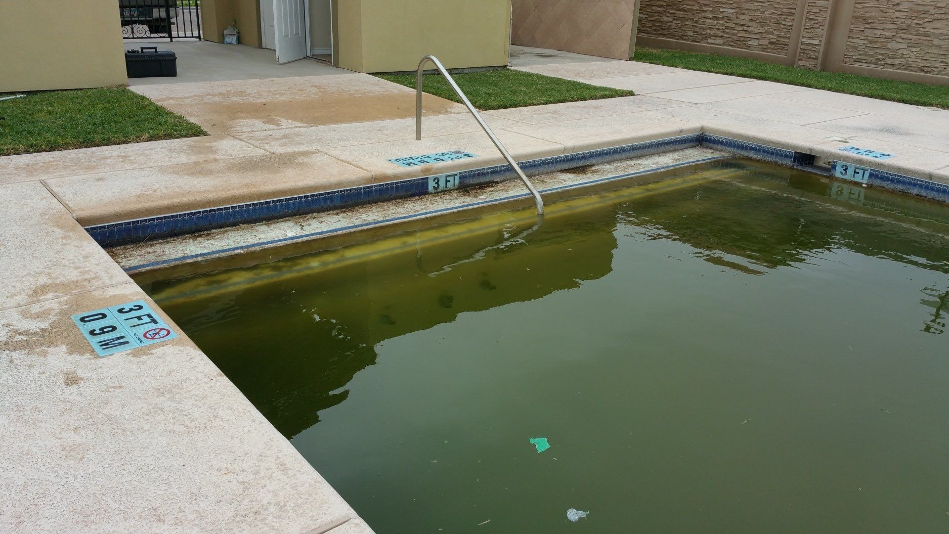 Muddy green swimming pool with a handrail and concrete deck beside a building