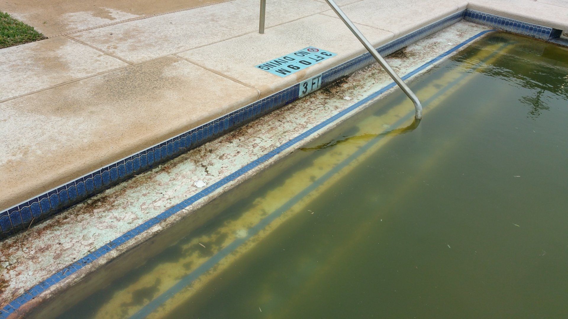 Murky green swimming pool with a metal handrail and wet concrete deck
