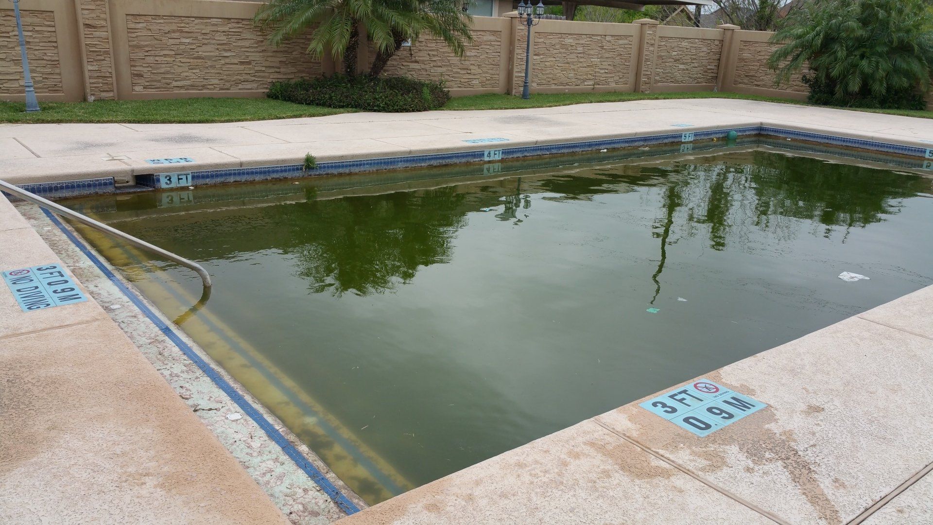 Empty rectangular swimming pool with green water, blue-tiled edges, and a surrounding concrete deck.