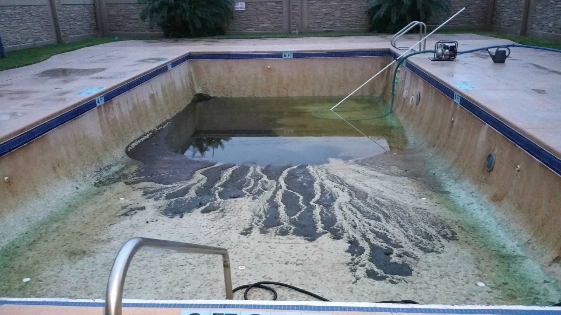 Empty drained swimming pool with green residue and a pool vacuum hose in the water.