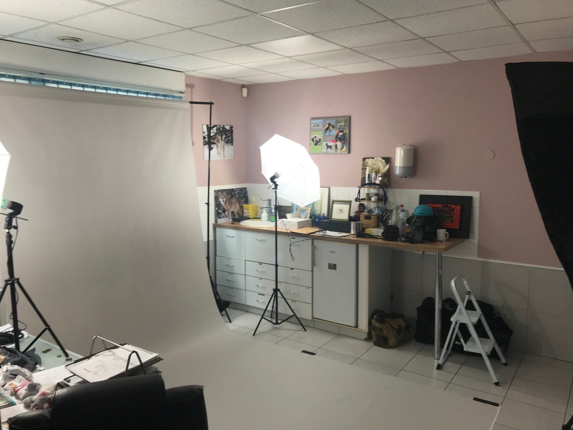 Shooting photo vétérinaire