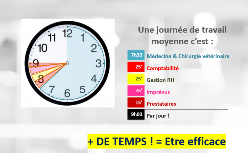 un tableau de bord vétérinaire