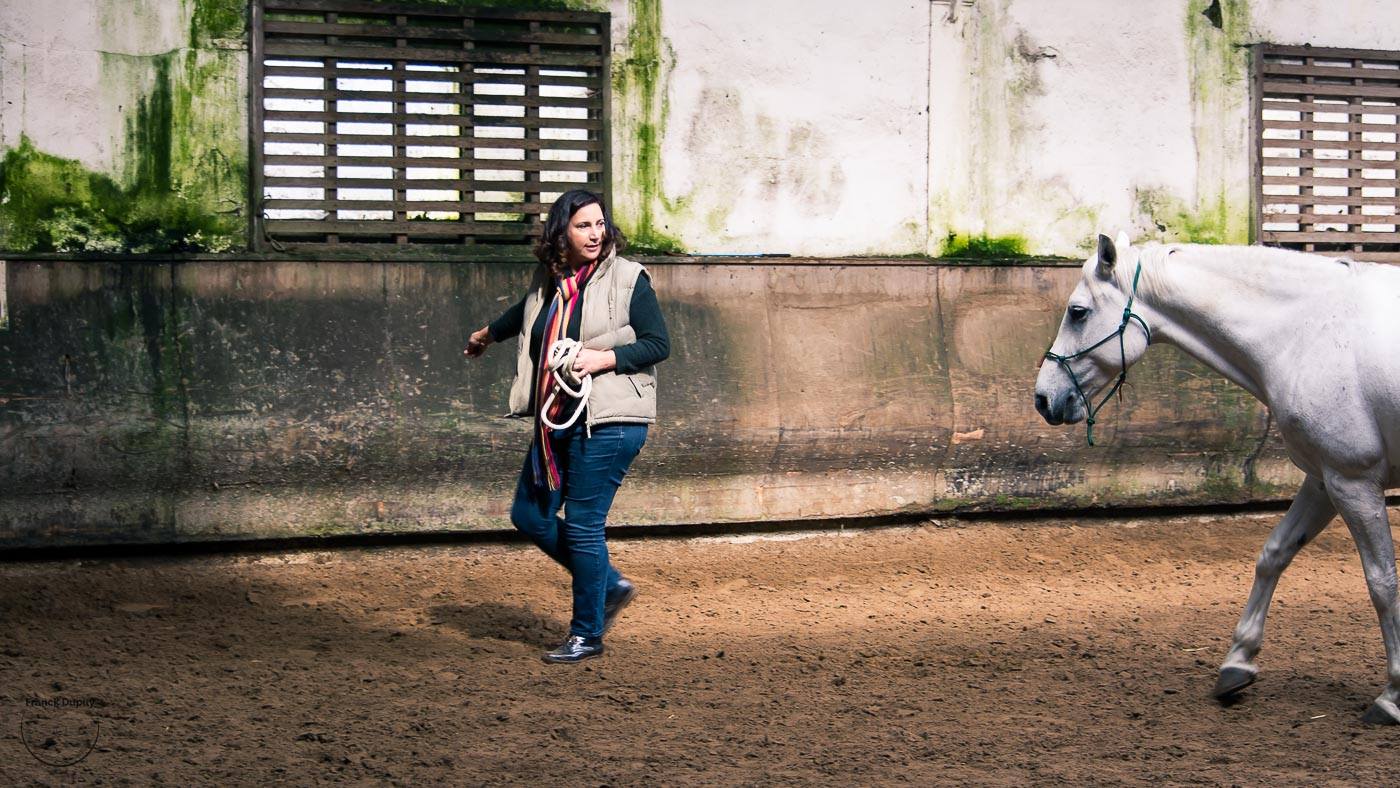Equi coaching