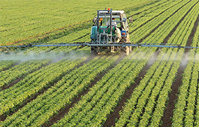 Tractor spraying rows of crops in a green field.