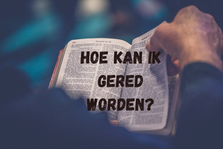 Een persoon leest een open Bijbel met de Nederlandse tekst