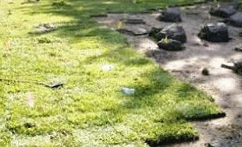 Landscaping - Design, Installation, Maintenance, and Cleanup in Plano, TX