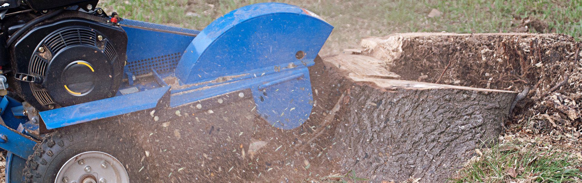 Stump grinding