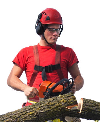 Worker Images