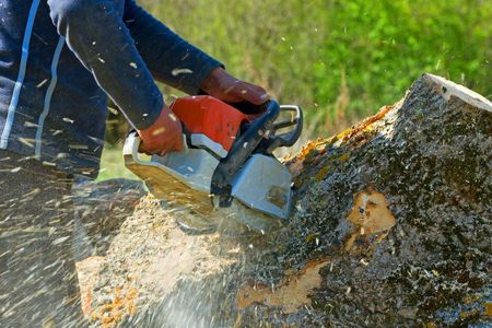Stump Removal