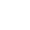 Party-Icon