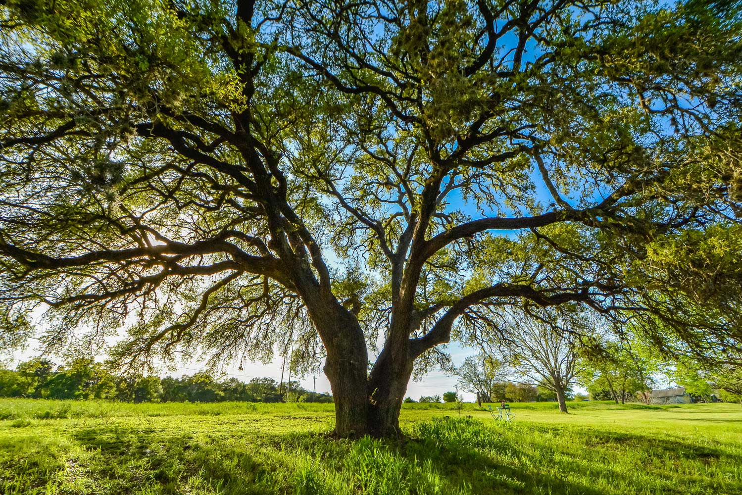 land for sale 78737