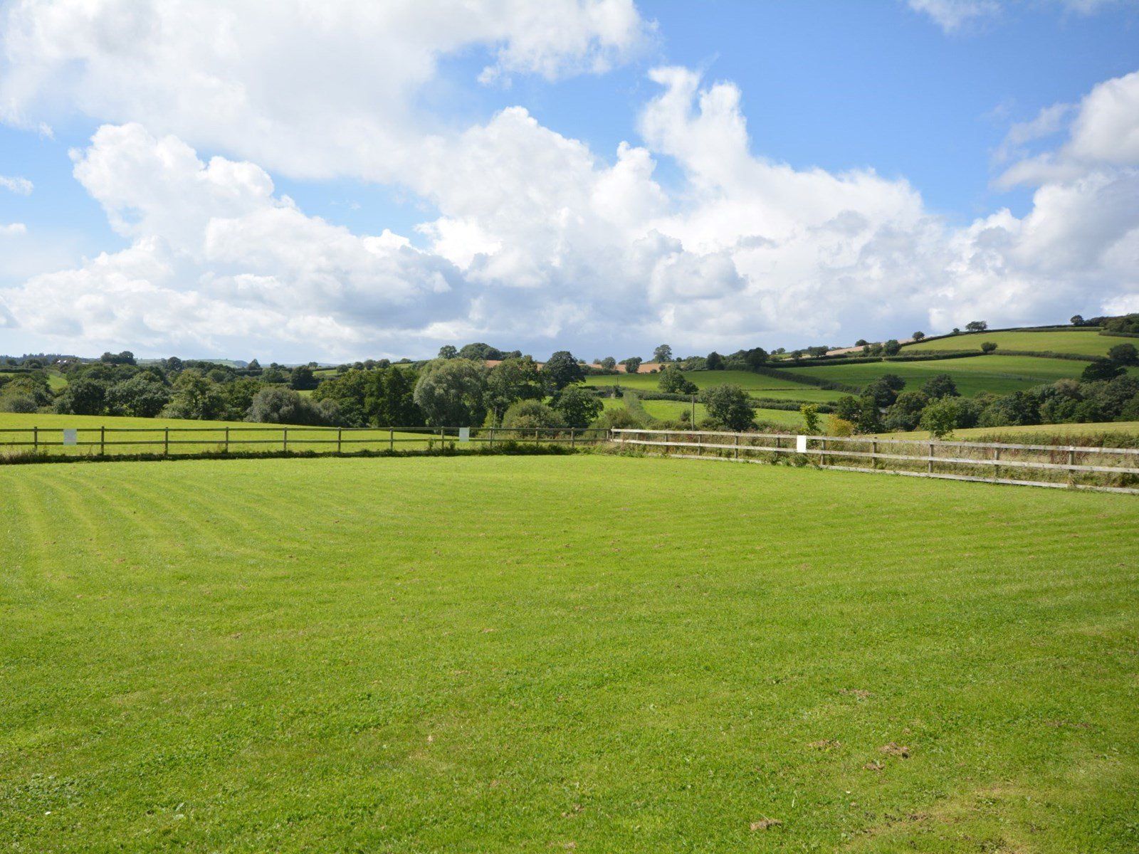 Meadow Area