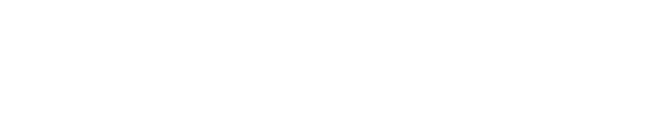 A thin light-gray horizontal line on a white background.