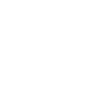 eagle icon