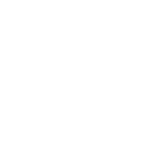 eagle icon