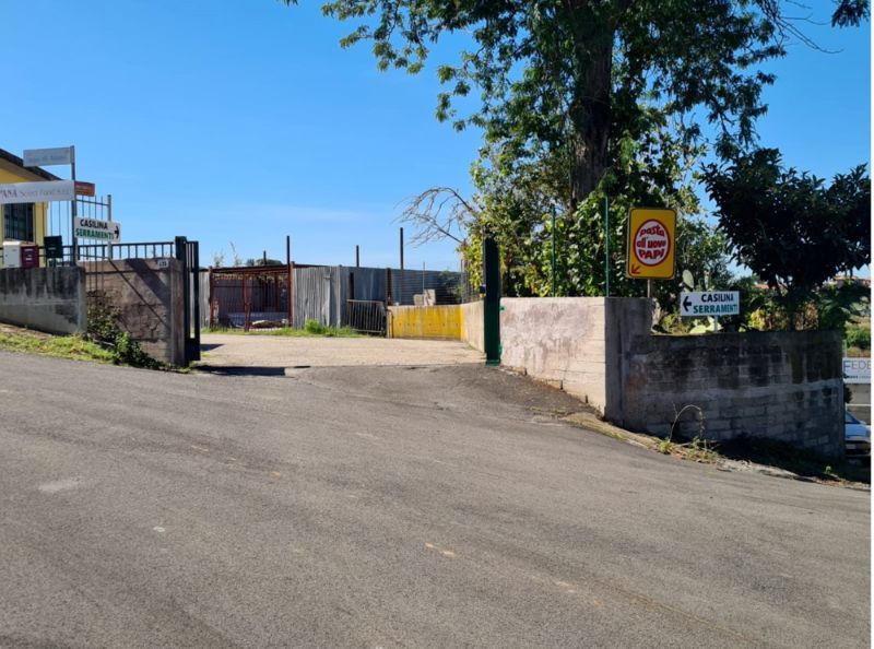 Azienda