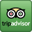 Tripadvisor reviews