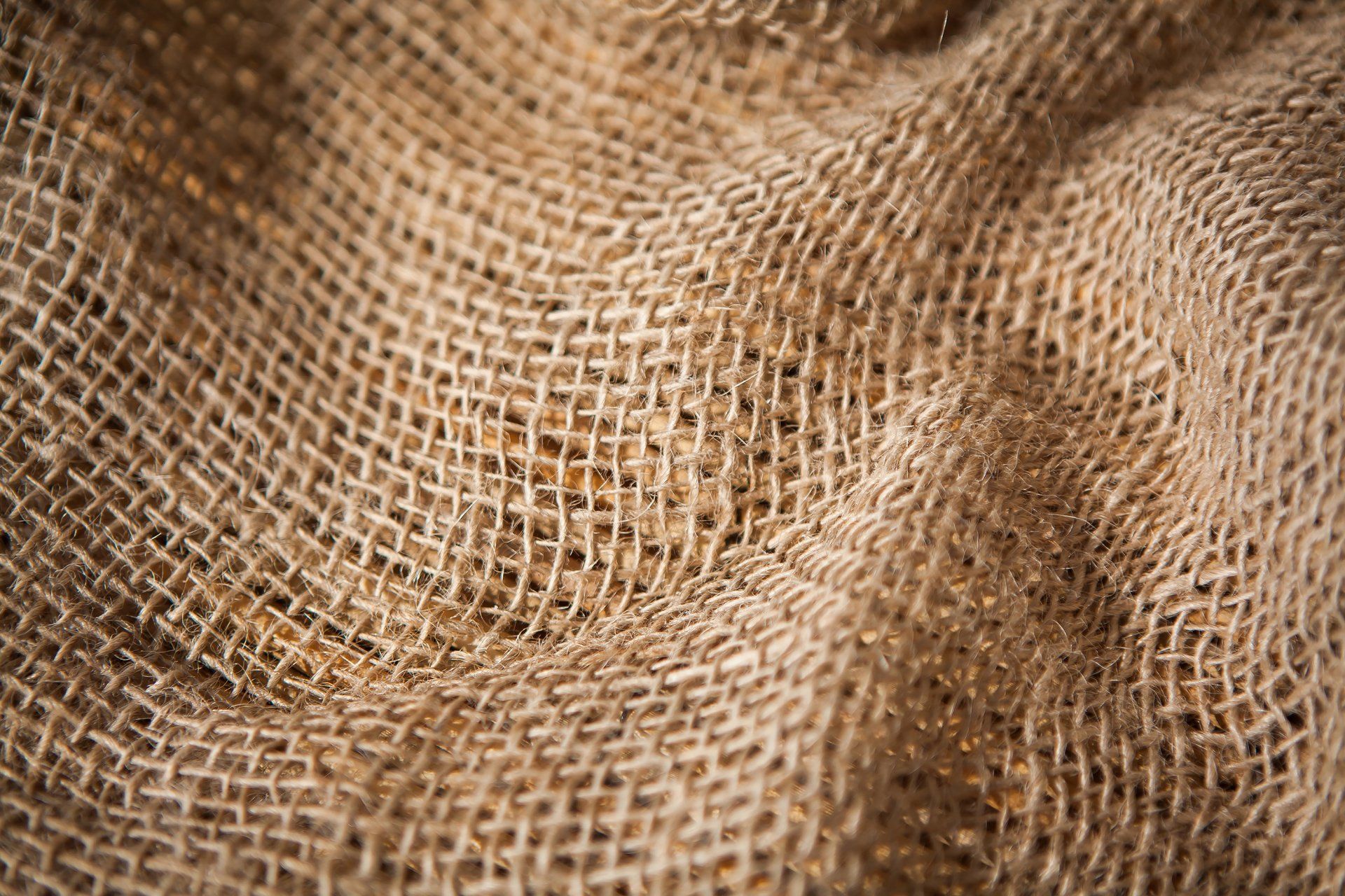 Mary Carol Fitzgerald, Burlap