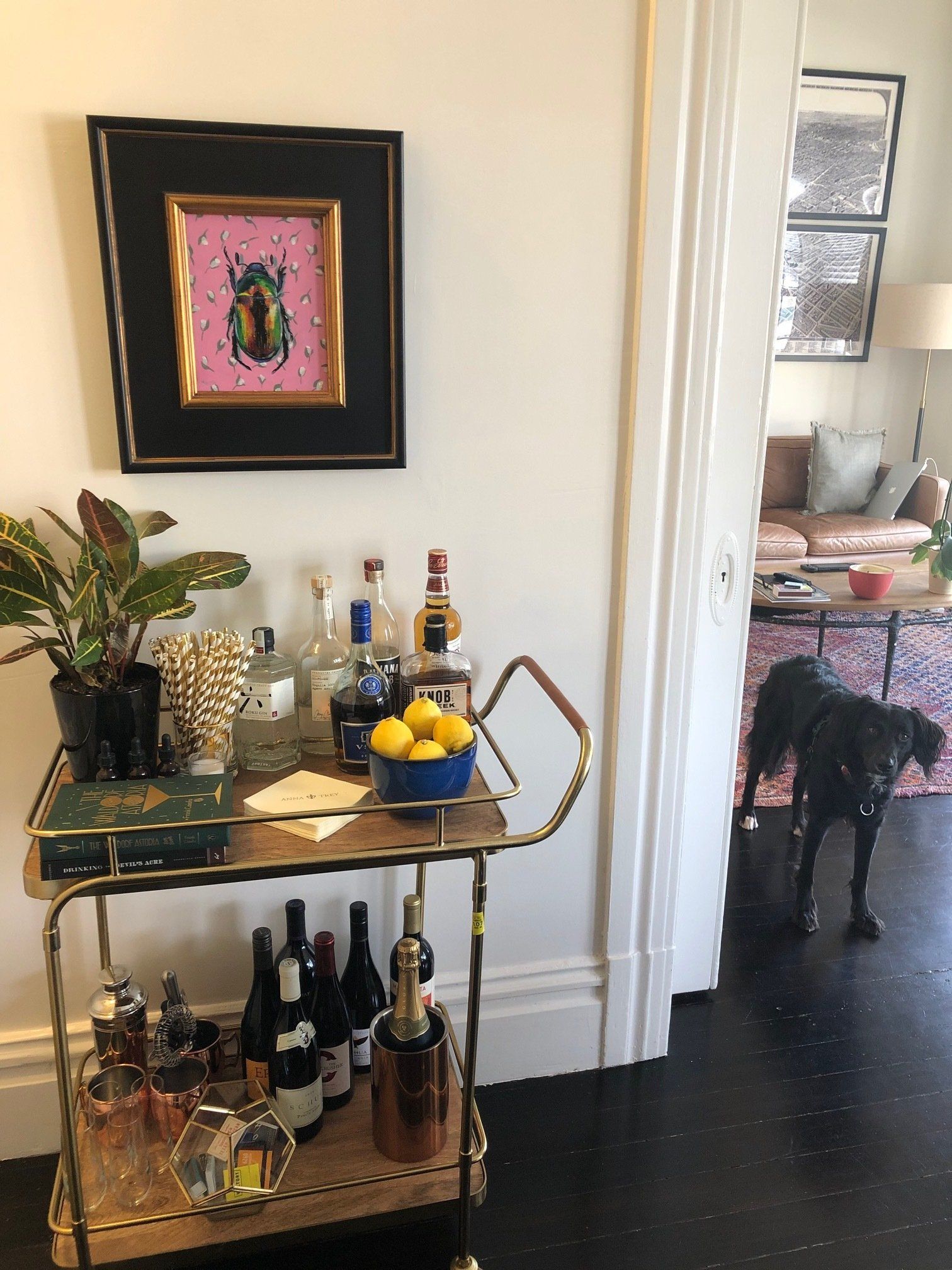 Kevin Brent Morris - Anna P.'s home