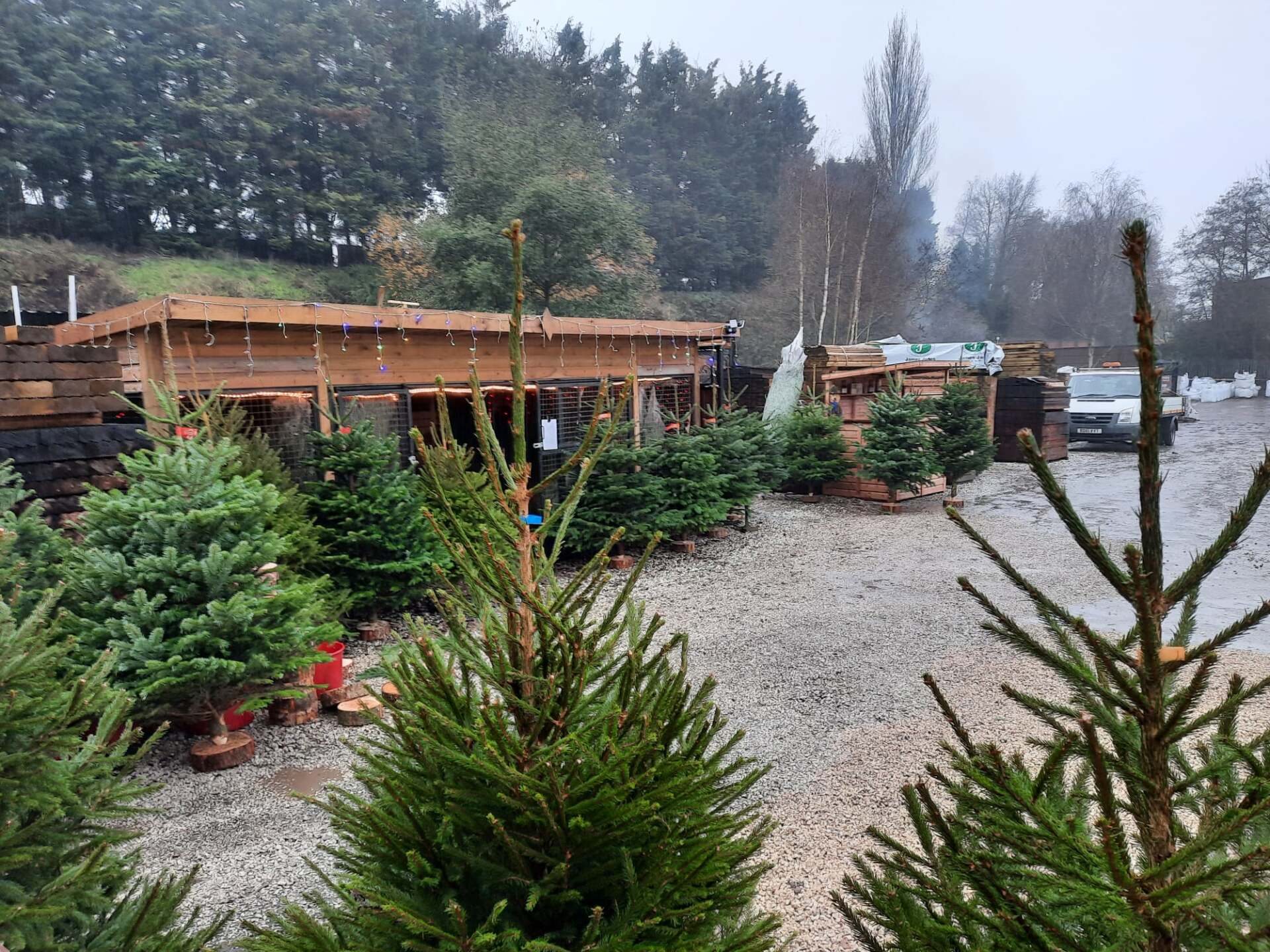Christmas At The Landscape Centre 2