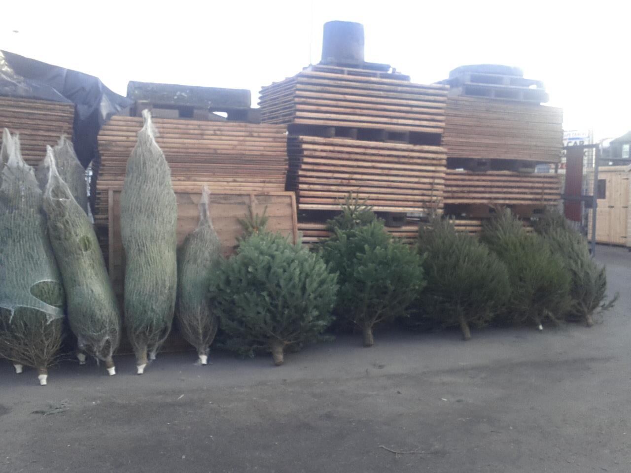 Christmas At The Landscape Centre 11