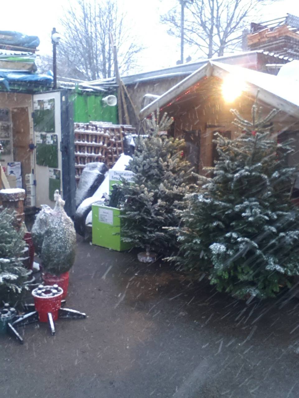 Christmas At The Landscape Centre 12