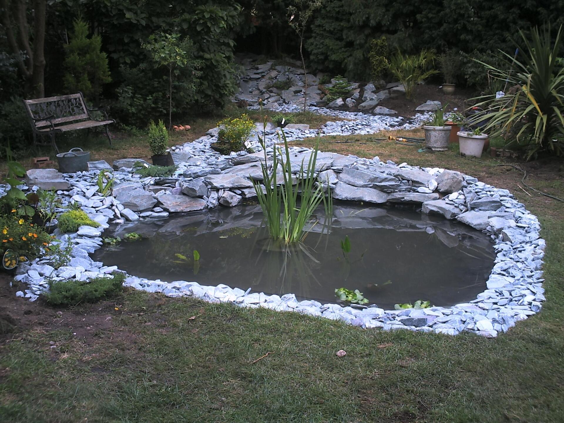 Alison's Garden