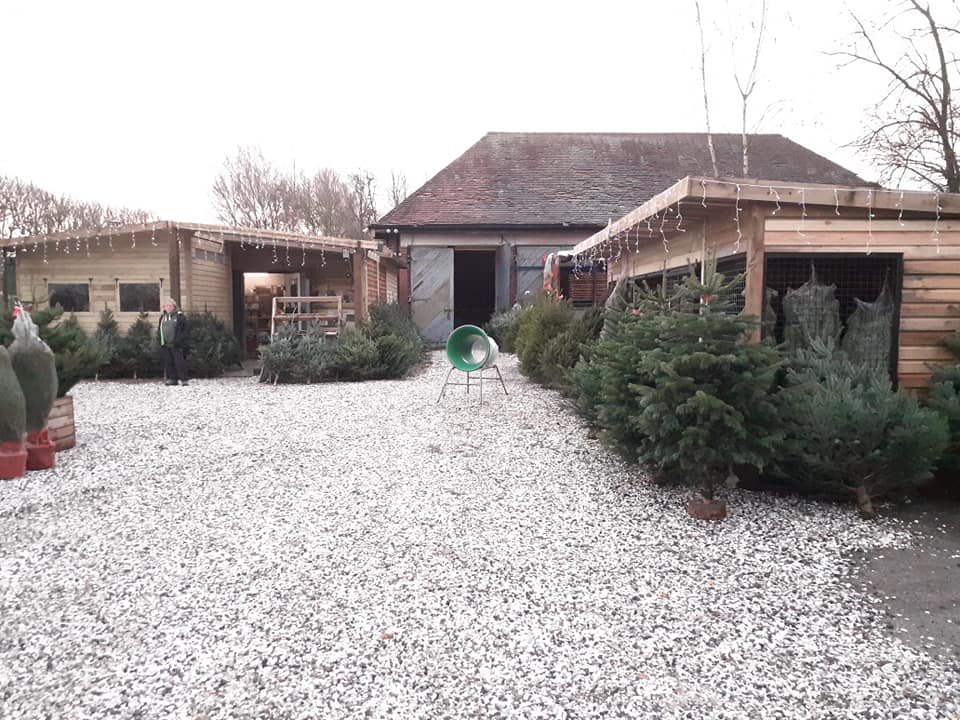 Christmas At The Landscape Centre 5