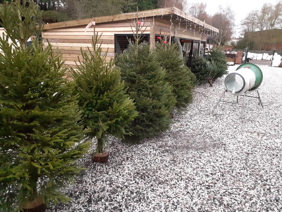 Christmas At The Landscape Centre 4