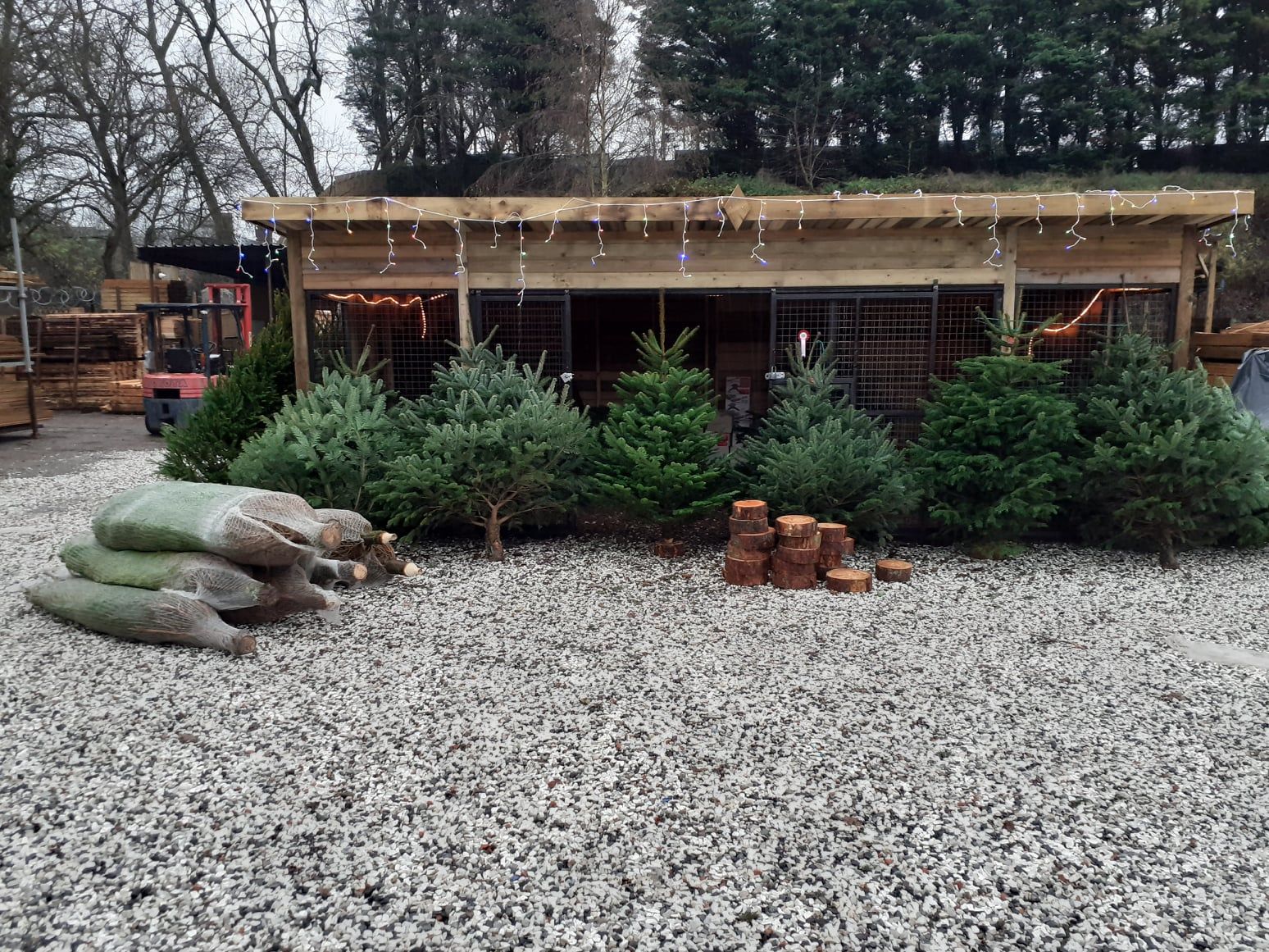 Christmas At The Landscape Centre 3