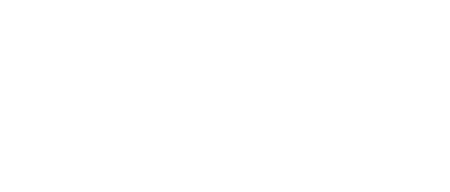 Logo Evolve Master Salon