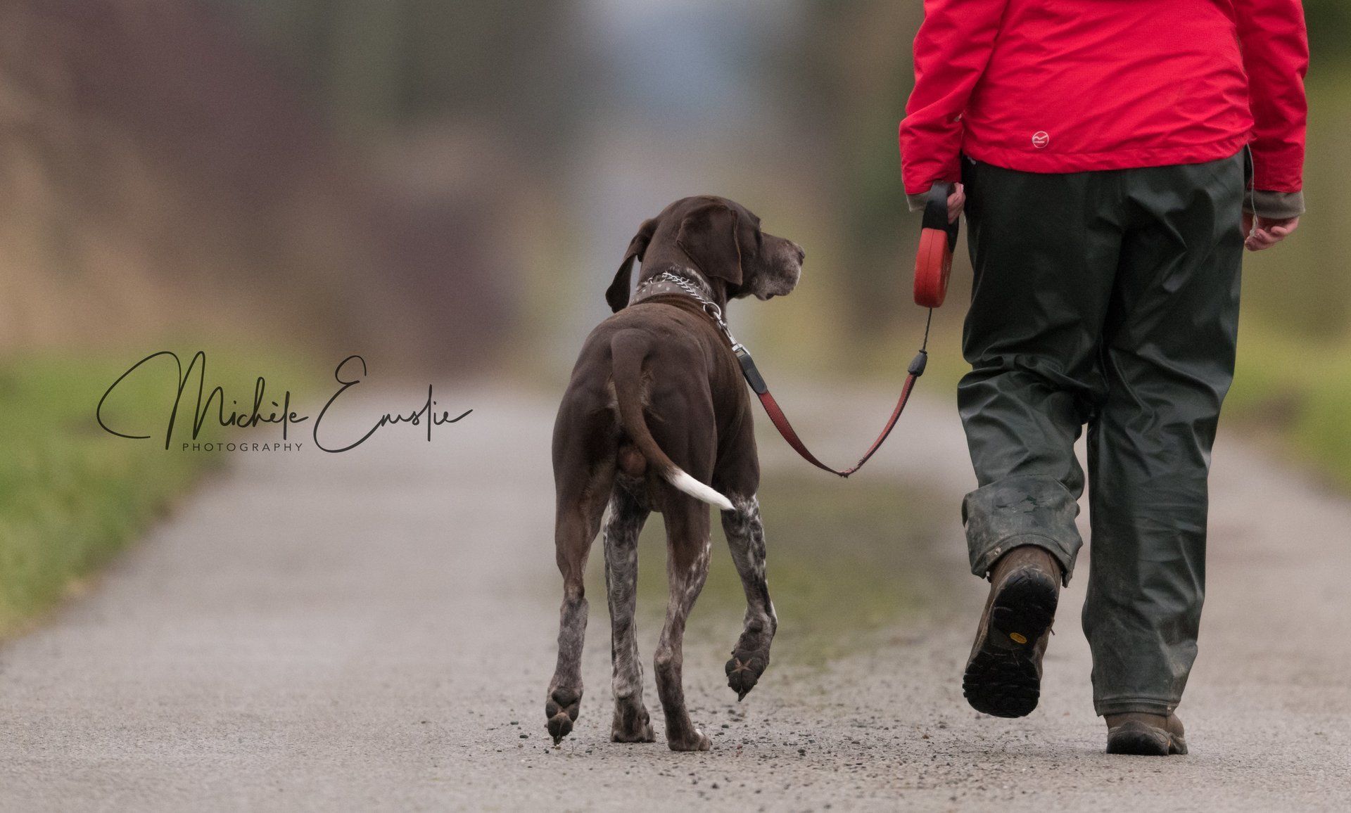 dog walking