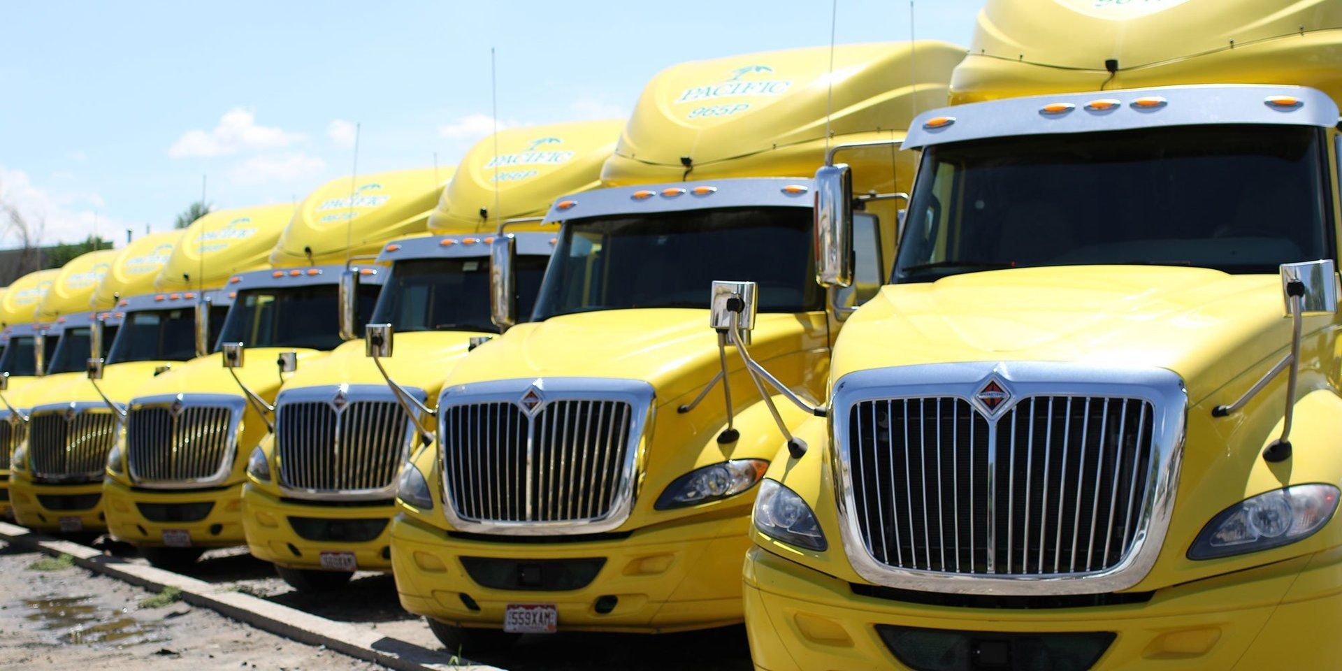 Trucks in a line