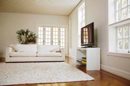 sala con tappeto e divano