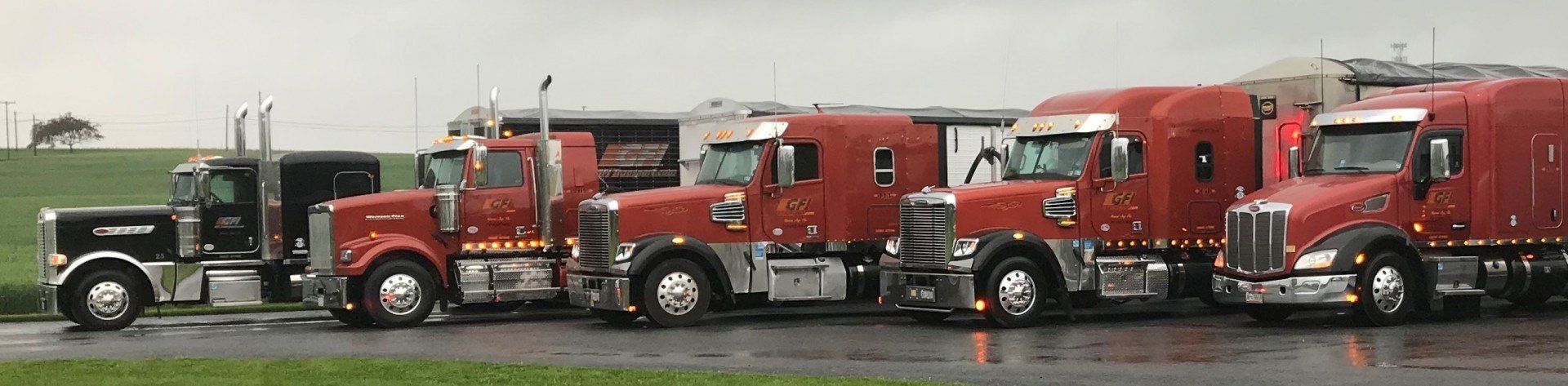 A row of red semi trucks are parked next to each other on a wet road