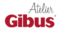 logo bigus