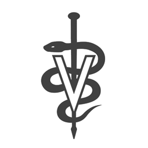 A caduceus with a snake and a letter v on a stick.