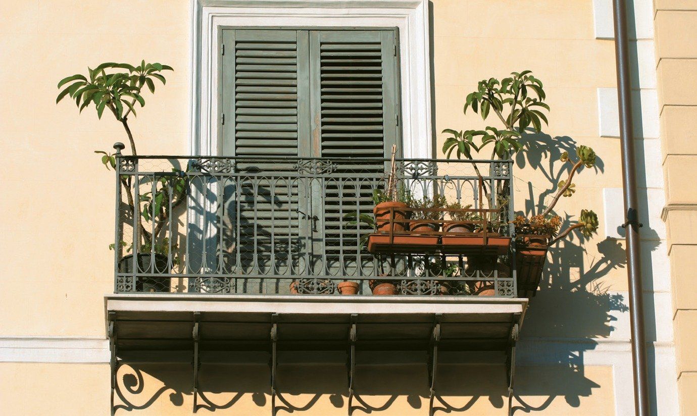 Piante pomelia palermo balcone