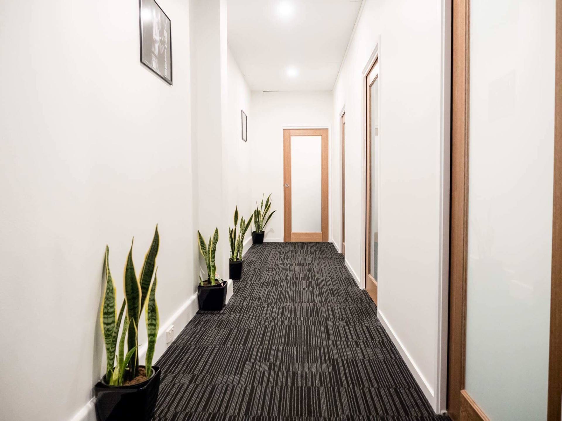 Long, narrow hallway with carpet and potted plants along the left side. Several doors are visible.