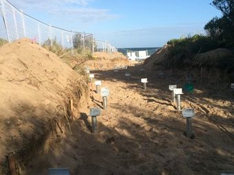Seaford Foreshore boardwalk 2