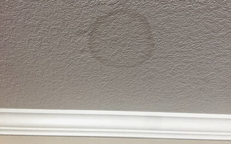 Why You Need to Fix Roof Leaks Immediately