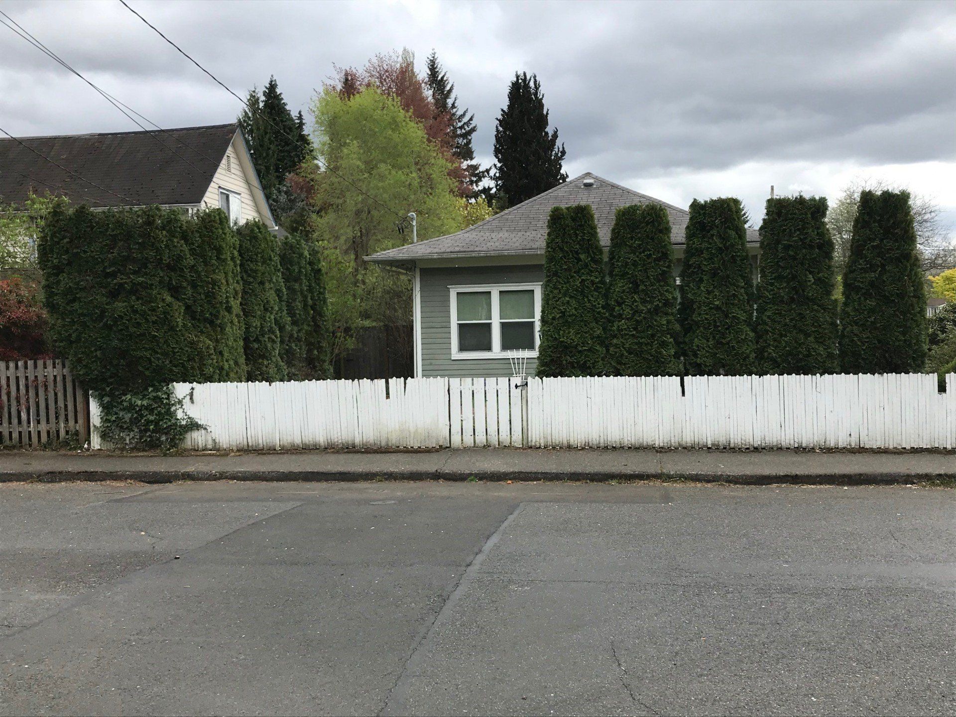 Overgrown Property After — Olympia, WA — Double D Tree Service LLC