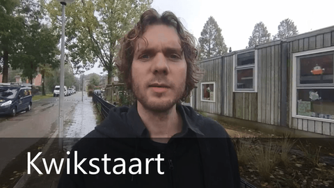 Kwikstaart