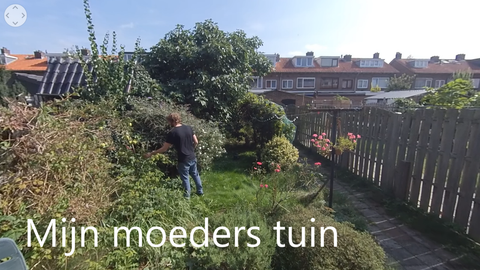 Mijn moeders tuin