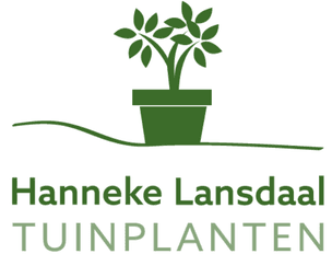 Hanneke Lansdaal Tuinplanten Westland Hanneke Lansdaal Tuinplanten Westland